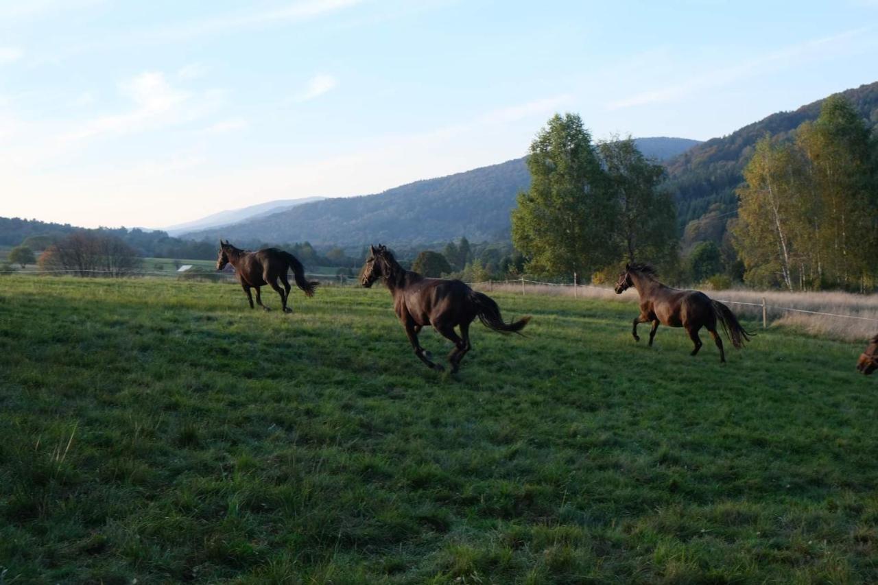 Appartamento Horpyna Krempna Esterno foto